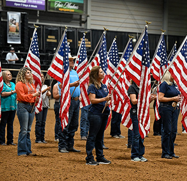 Heroes On Horses